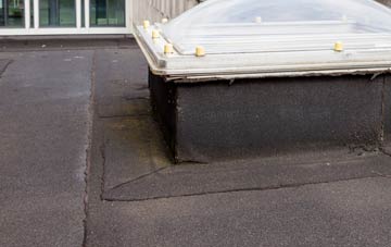 disadvantages of Trescowe flat roofs
